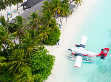 Airplane docking from the ocean into an island of bright green palms.